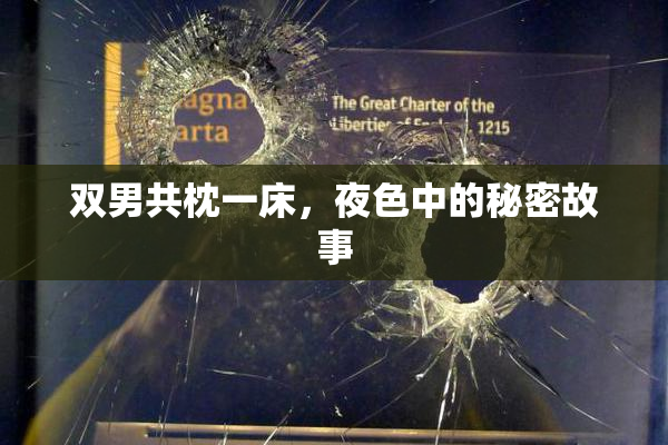双男共枕一床，夜色中的秘密故事