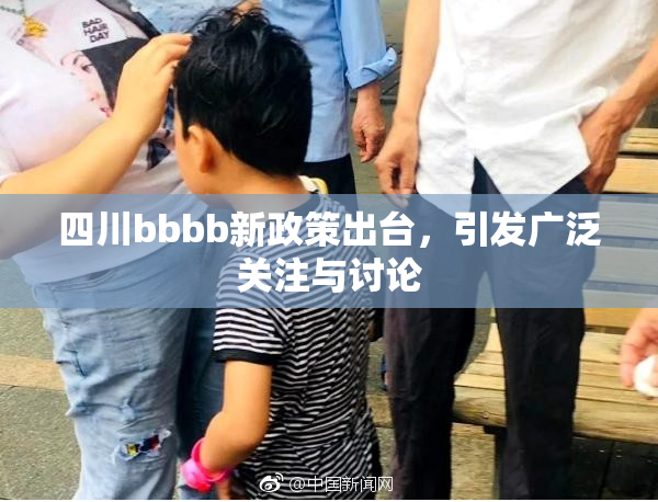四川bbbb新政策出台，引发广泛关注与讨论
