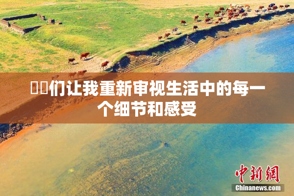 妺妺们让我重新审视生活中的每一个细节和感受