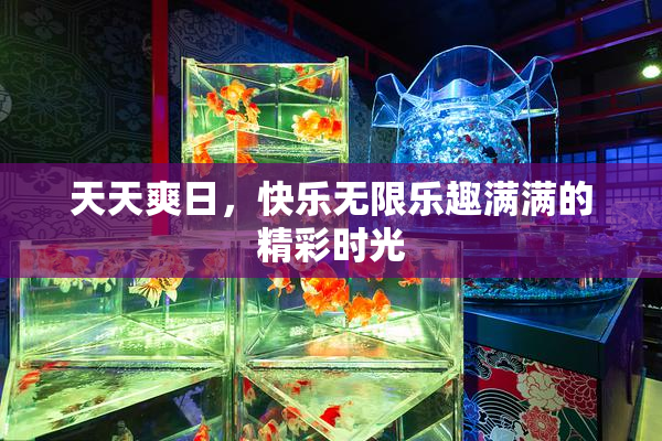 天天爽日，快乐无限乐趣满满的精彩时光