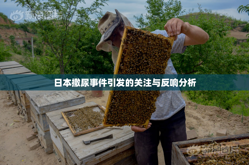 日本撒尿事件引发的关注与反响分析