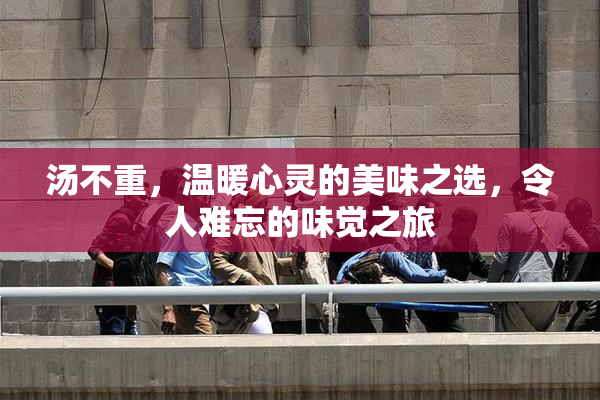 汤不重，温暖心灵的美味之选，令人难忘的味觉之旅