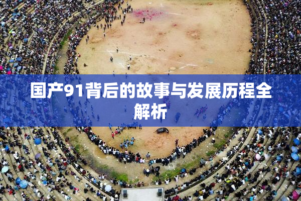 国产91背后的故事与发展历程全解析