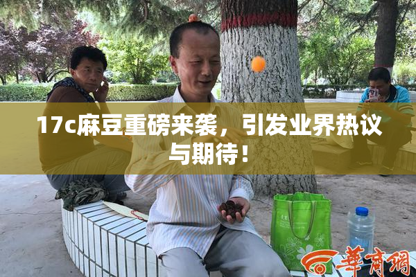 17c麻豆重磅来袭，引发业界热议与期待！