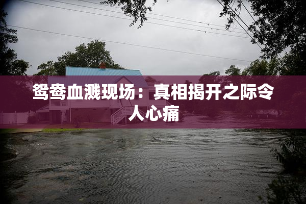 鸳鸯血溅现场：真相揭开之际令人心痛