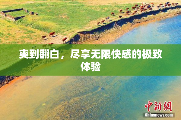 爽到翻白，尽享无限快感的极致体验