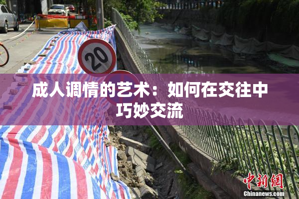 成人调情的艺术：如何在交往中巧妙交流