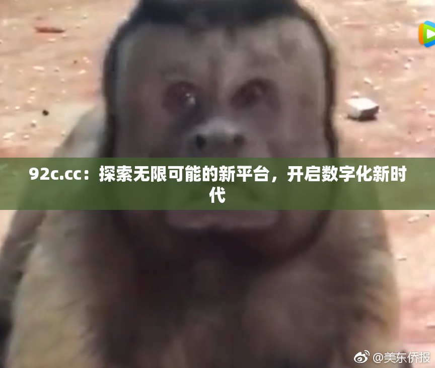 92c.cc：探索无限可能的新平台，开启数字化新时代