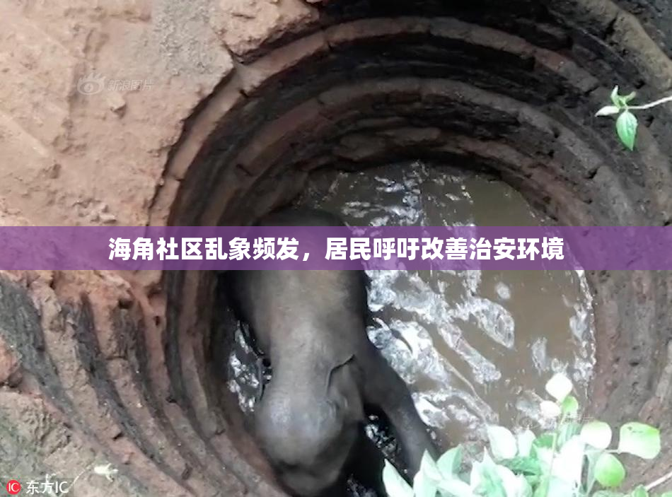 海角社区乱象频发，居民呼吁改善治安环境