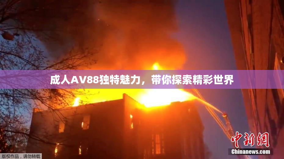 成人AV88独特魅力，带你探索精彩世界