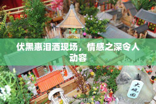伏黑惠泪洒现场，情感之深令人动容