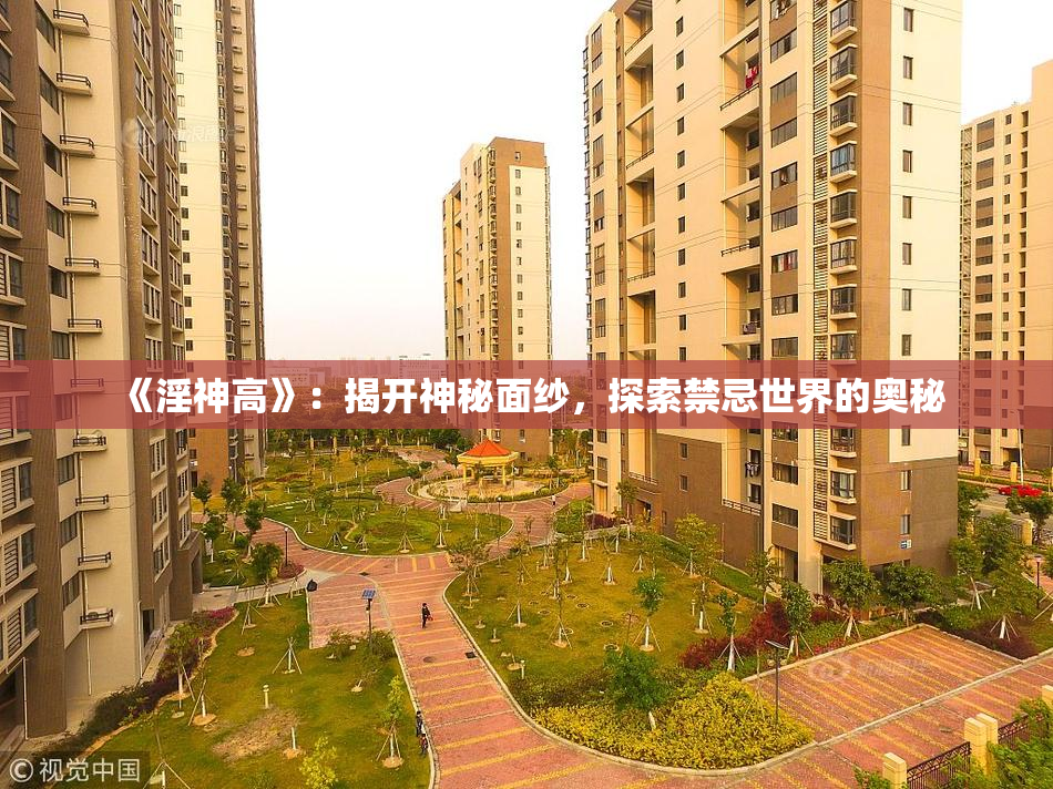 《淫神高》：揭开神秘面纱，探索禁忌世界的奥秘