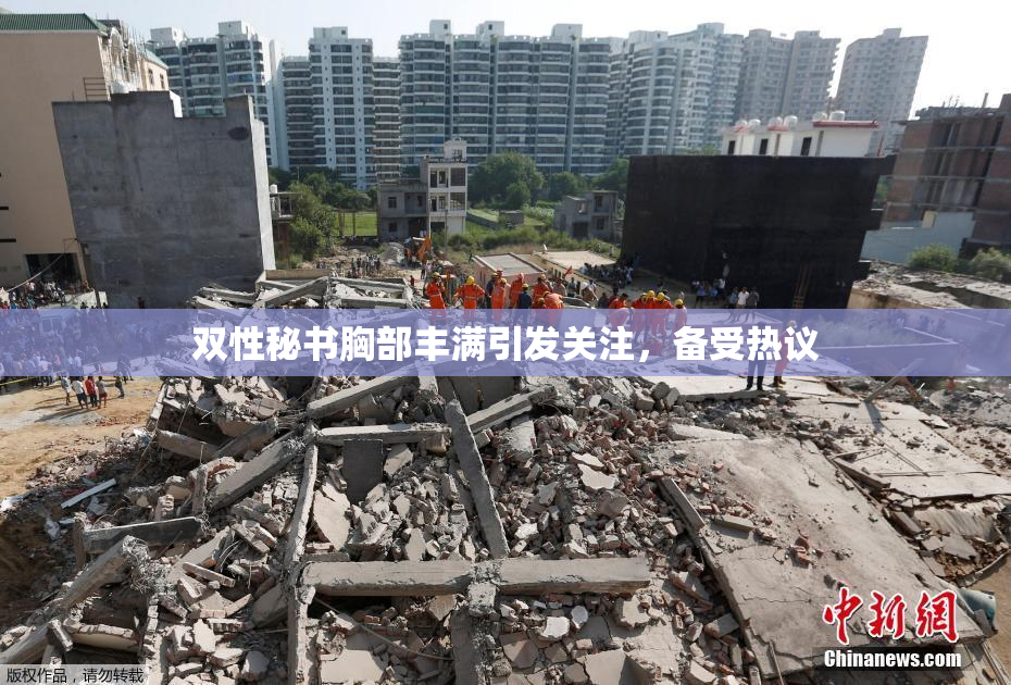 双性秘书胸部丰满引发关注，备受热议