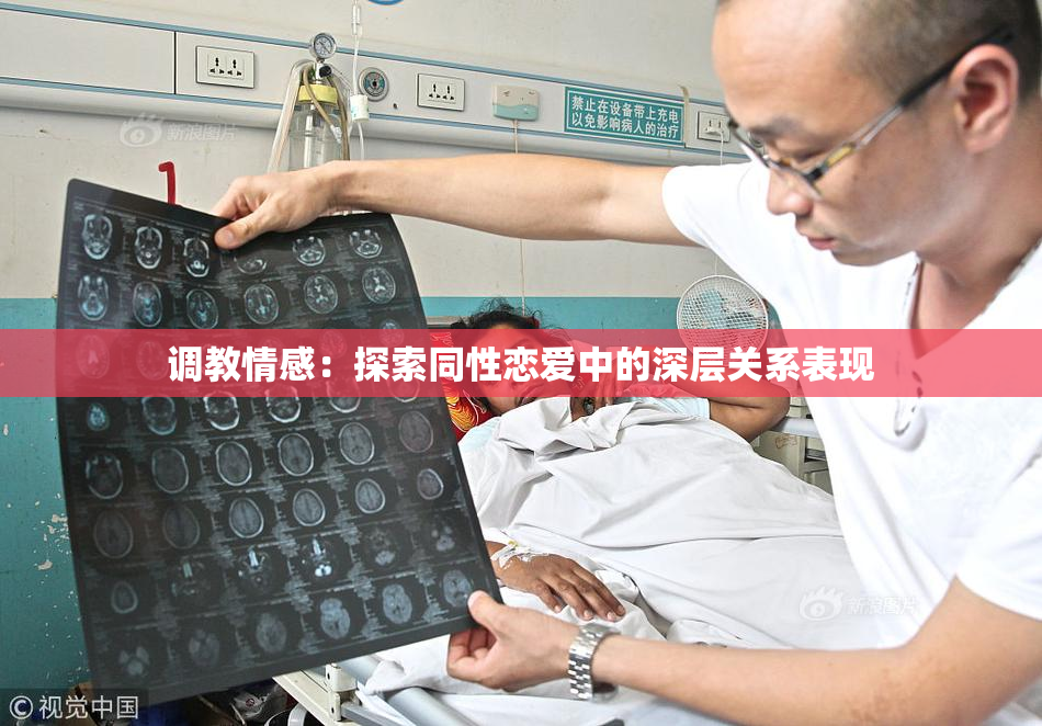 调教情感：探索同性恋爱中的深层关系表现