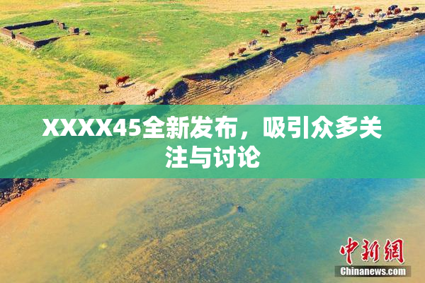 XXXX45全新发布，吸引众多关注与讨论