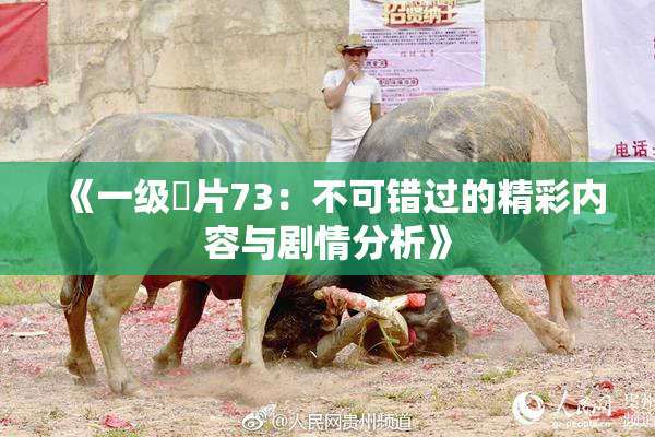 《一级婬片73：不可错过的精彩内容与剧情分析》