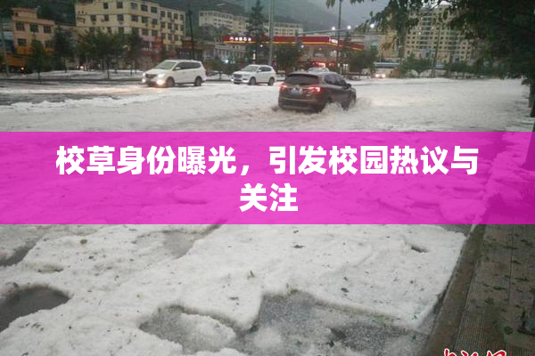 校草身份曝光，引发校园热议与关注