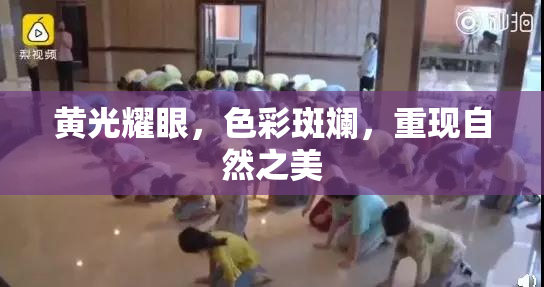 黄光耀眼，色彩斑斓，重现自然之美