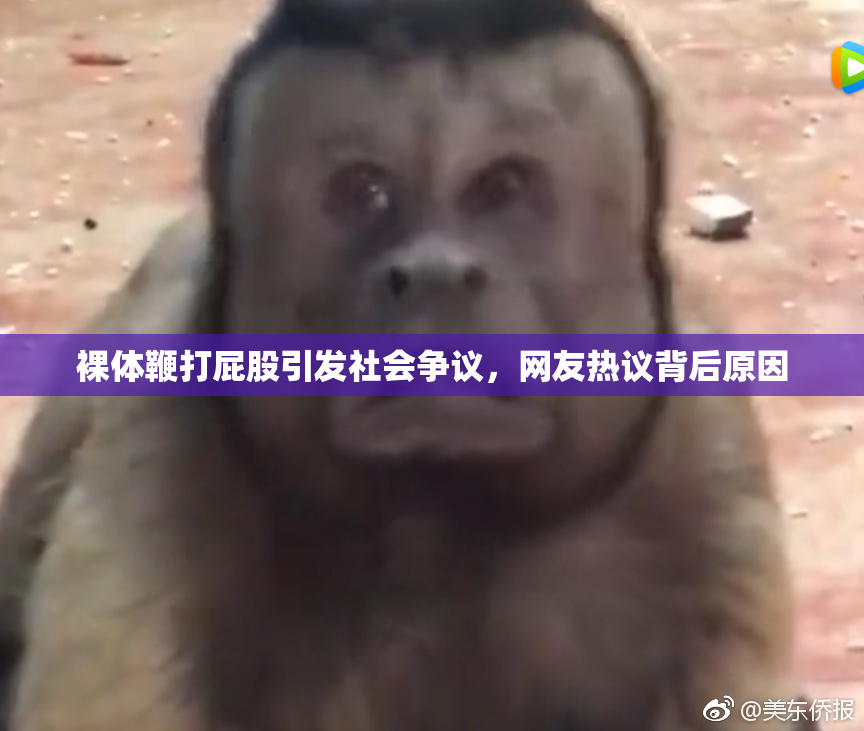 裸体鞭打屁股引发社会争议，网友热议背后原因