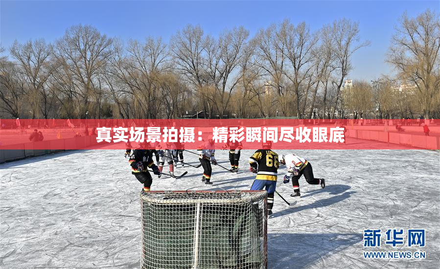 真实场景拍摄：精彩瞬间尽收眼底