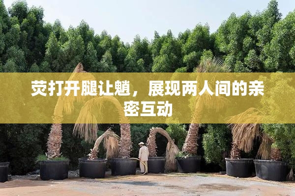 荧打开腿让魈，展现两人间的亲密互动