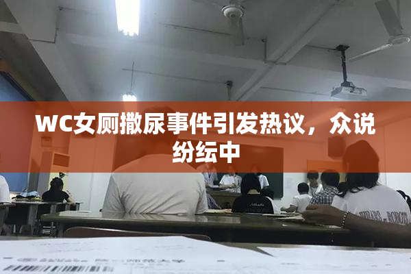 WC女厕撒尿事件引发热议，众说纷纭中