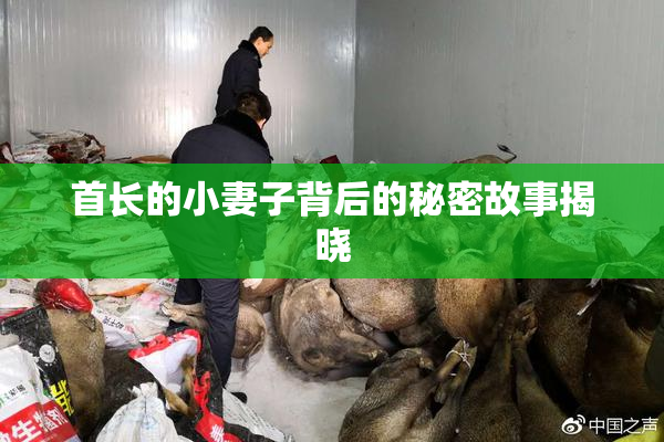 首长的小妻子背后的秘密故事揭晓