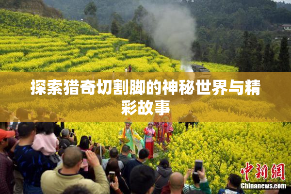 探索猎奇切割脚的神秘世界与精彩故事