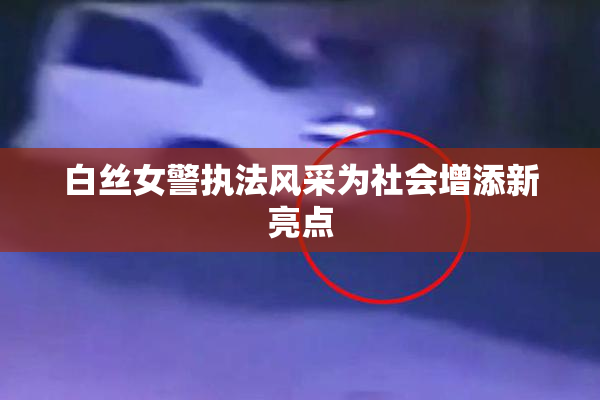 白丝女警执法风采为社会增添新亮点