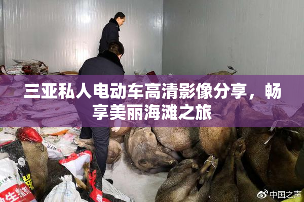 三亚私人电动车高清影像分享，畅享美丽海滩之旅