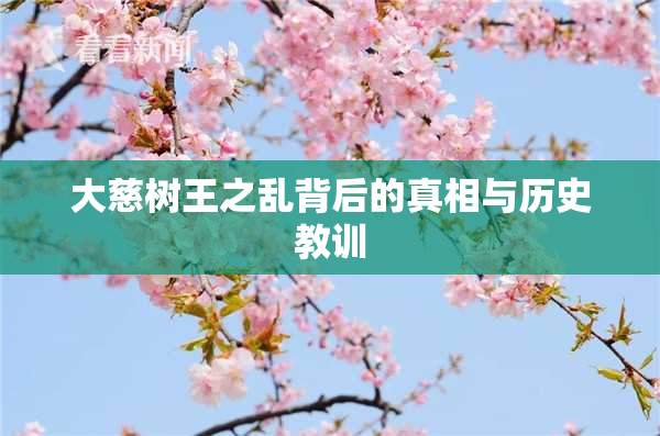 大慈树王之乱背后的真相与历史教训