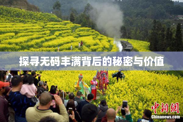 探寻无码丰满背后的秘密与价值