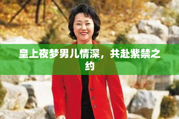 皇上夜梦男儿情深，共赴紫禁之约