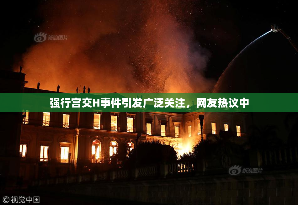 强行宫交H事件引发广泛关注，网友热议中
