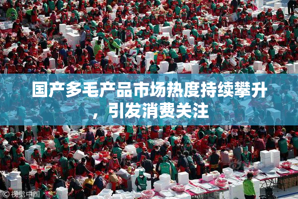 国产多毛产品市场热度持续攀升，引发消费关注