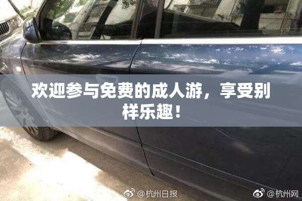欢迎参与免费的成人游，享受别样乐趣！