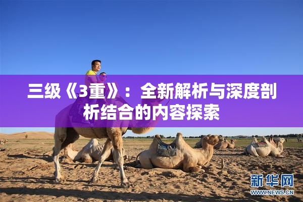 三级《3重》：全新解析与深度剖析结合的内容探索