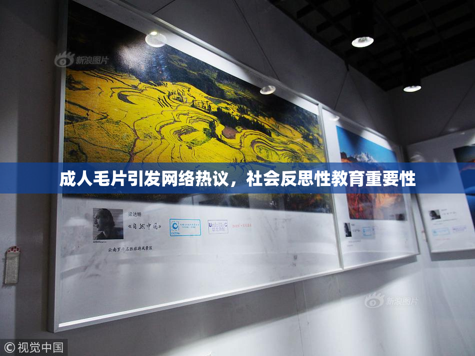 成人毛片引发网络热议，社会反思性教育重要性