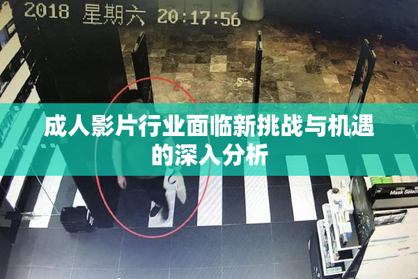 成人影片行业面临新挑战与机遇的深入分析