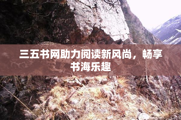 三五书网助力阅读新风尚，畅享书海乐趣