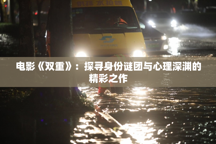 电影《双重》：探寻身份谜团与心理深渊的精彩之作