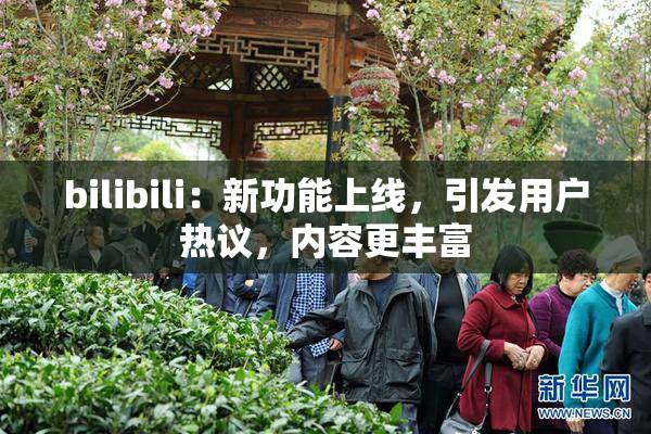 bilibili：新功能上线，引发用户热议，内容更丰富