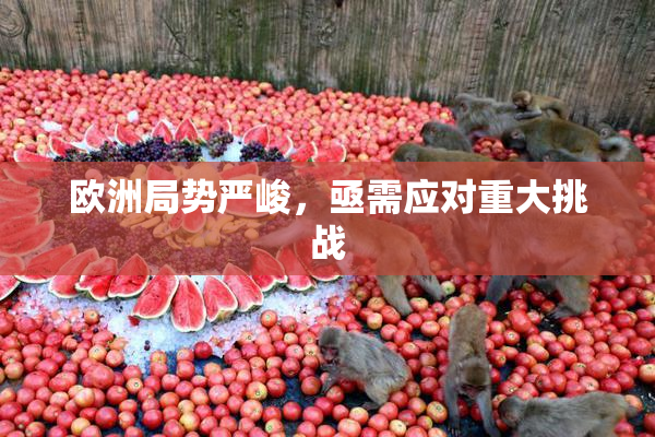 欧洲局势严峻，亟需应对重大挑战