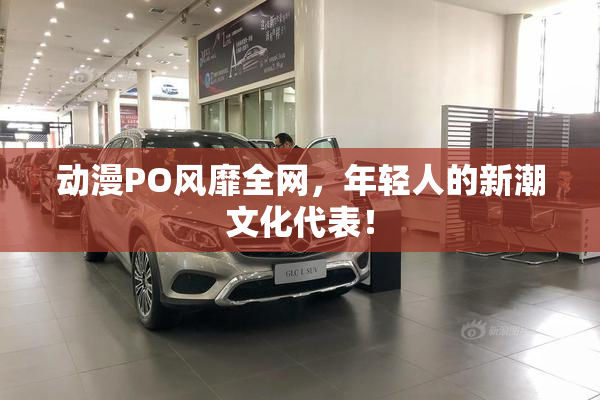 动漫PO风靡全网，年轻人的新潮文化代表！