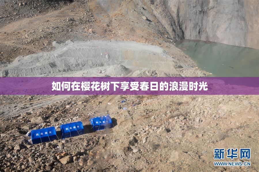 如何在樱花树下享受春日的浪漫时光