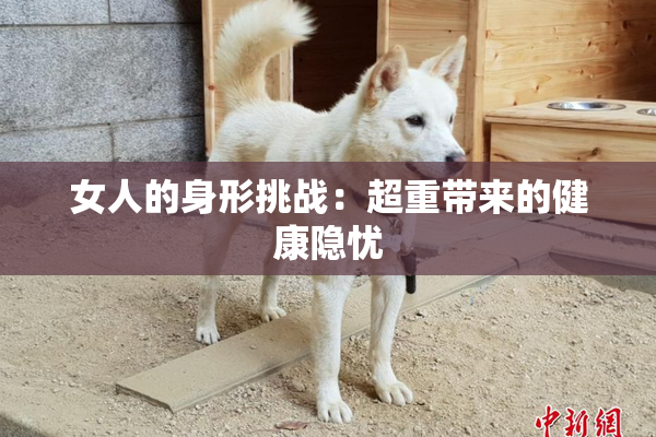 女人的身形挑战：超重带来的健康隐忧