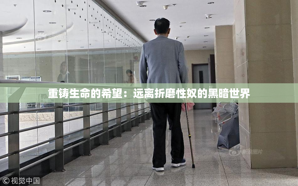 重铸生命的希望：远离折磨性奴的黑暗世界