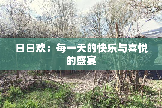 日日欢：每一天的快乐与喜悦的盛宴
