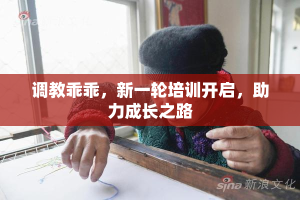 调教乖乖，新一轮培训开启，助力成长之路