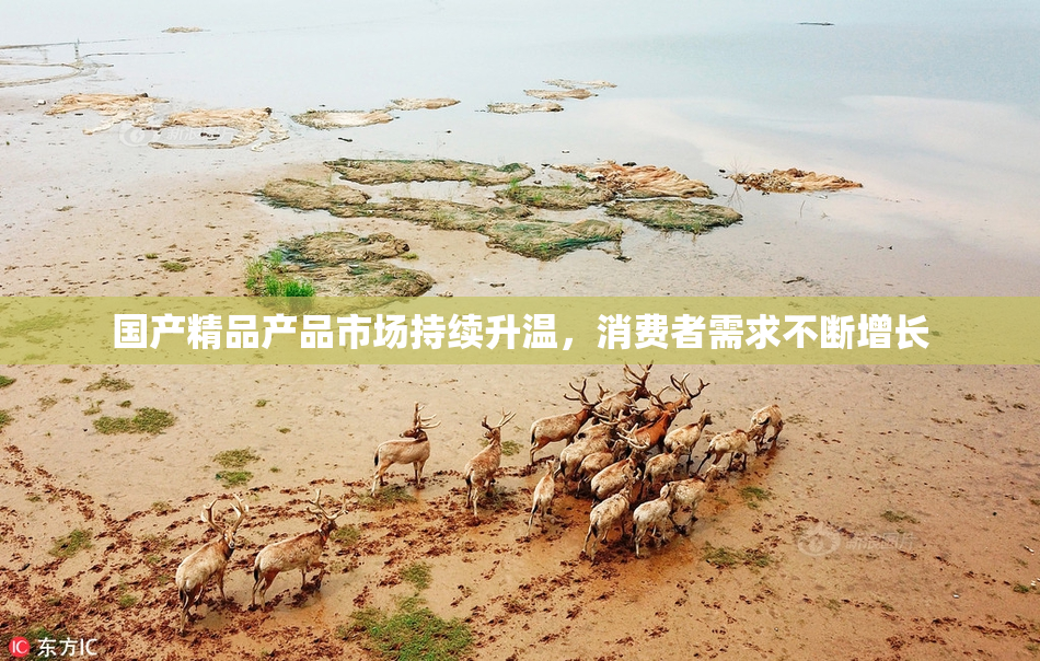 国产精品产品市场持续升温，消费者需求不断增长